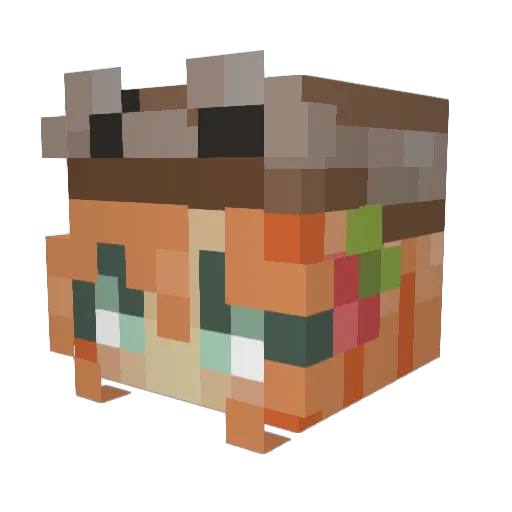 euythimia Minecraft avatar head, 3D render