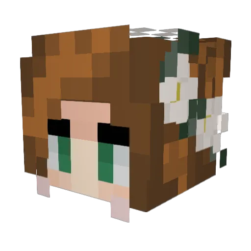 eva14 Minecraft avatar head, 3D render
