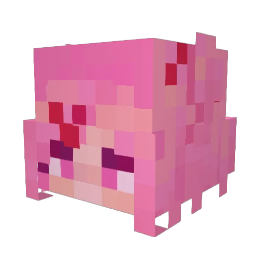 eva_rain Minecraft avatar head, 3D render