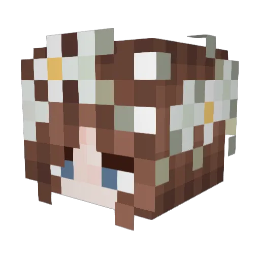 evacmx Minecraft avatar head, 3D render