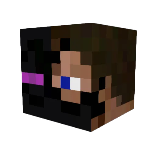 evader110 Minecraft avatar head, 3D render