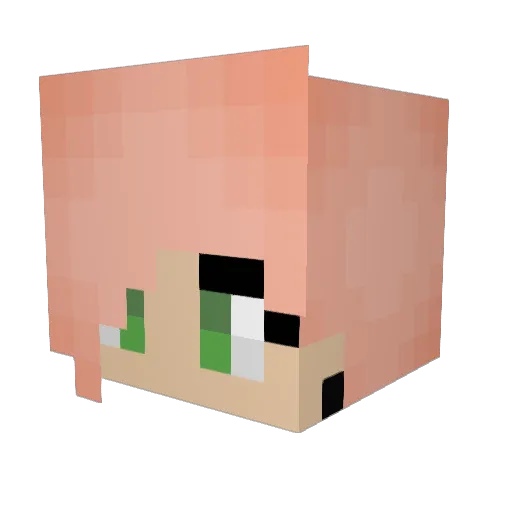 evadoggiedonut Minecraft avatar head, 3D render