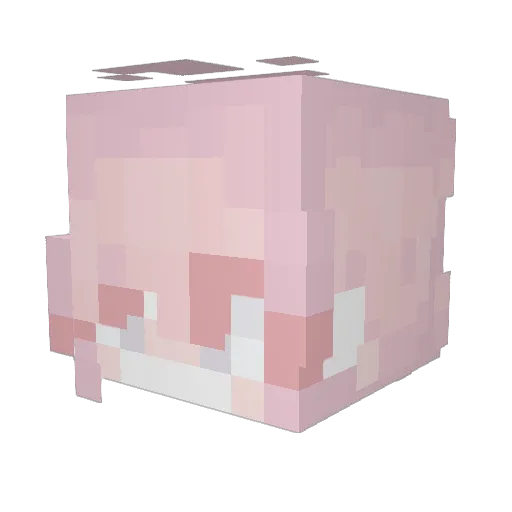 evahHhHh Minecraft avatar head, 3D render