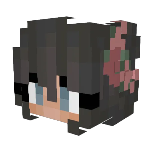 evajaneminecraft Minecraft avatar head, 3D render