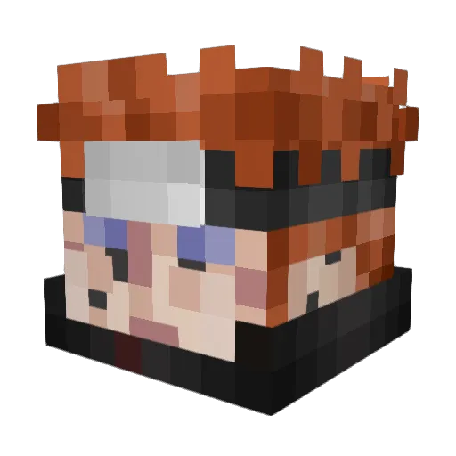 evan11662 Minecraft avatar head, 3D render