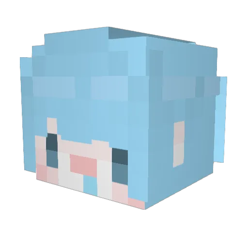 evan1999 Minecraft avatar head, 3D render