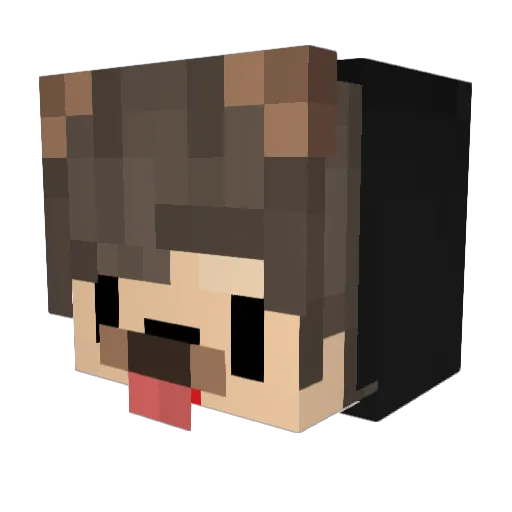 evan2204 Minecraft avatar head, 3D render