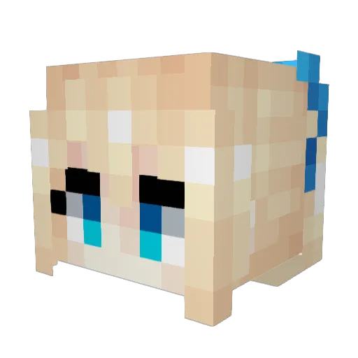 evan31825 Minecraft avatar head, 3D render