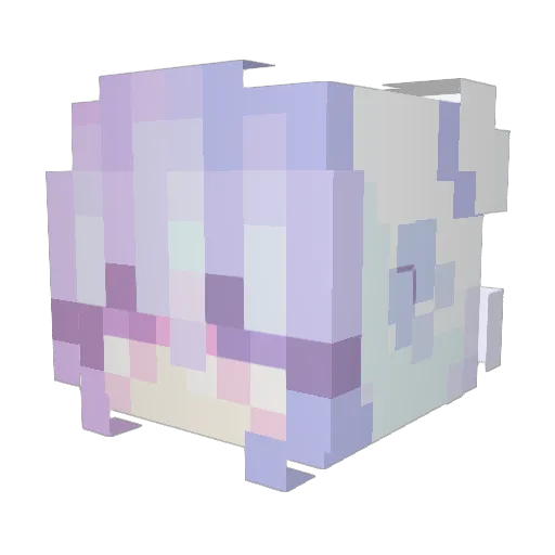 evan42069 Minecraft avatar head, 3D render