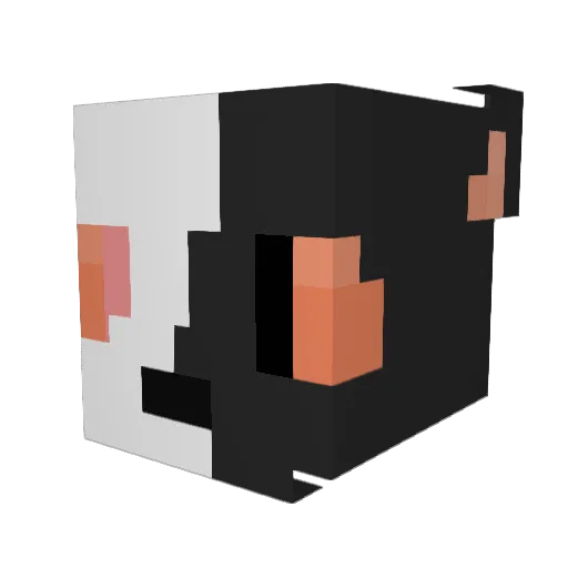 evan591 Minecraft avatar head, 3D render