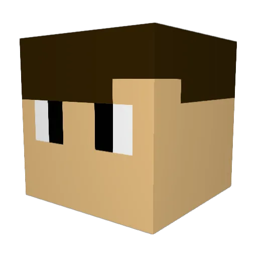 evandim106 Minecraft avatar head, 3D render