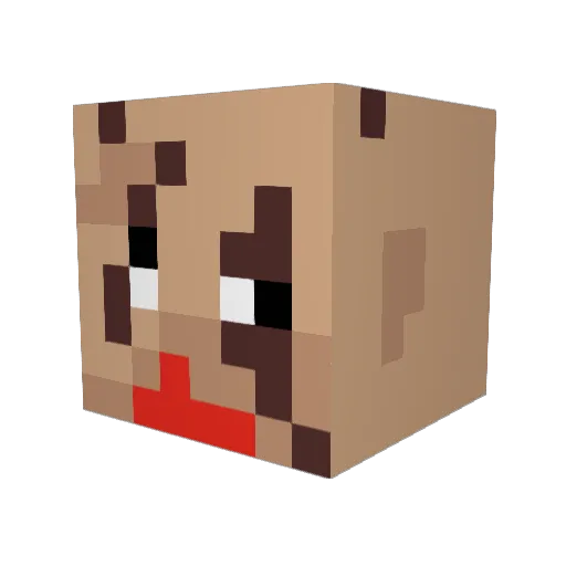 evandoyle Minecraft avatar head, 3D render