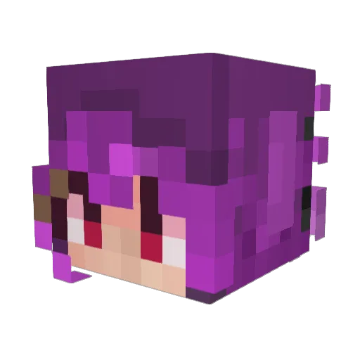 evansurfnet Minecraft avatar head, 3D render