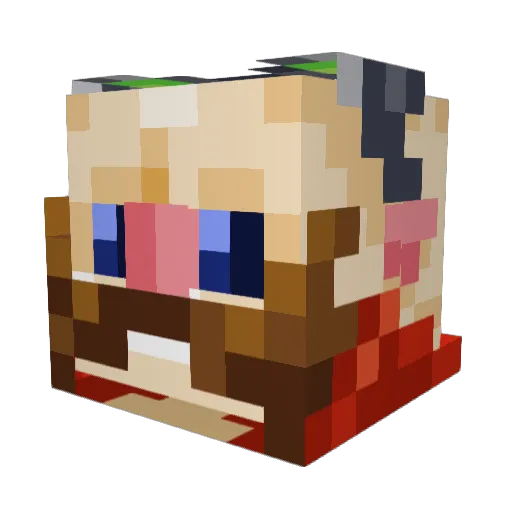 evanthetrain Minecraft avatar head, 3D render