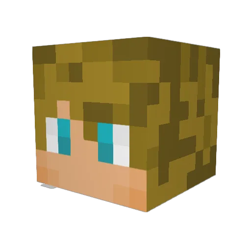 evantisdale Minecraft avatar head, 3D render