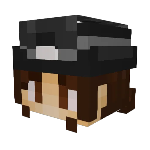 evaplaysgames Minecraft avatar head, 3D render