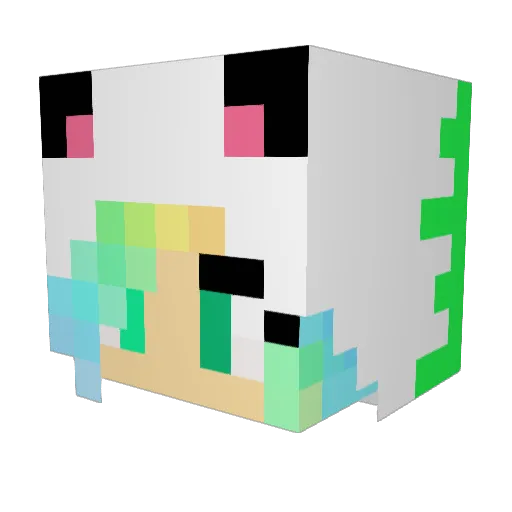 evapou2 Minecraft avatar head, 3D render