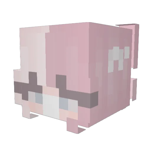 evascieus Minecraft avatar head, 3D render