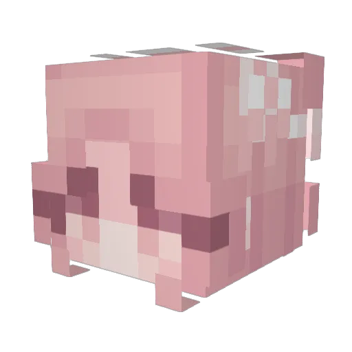 evatius Minecraft avatar head, 3D render