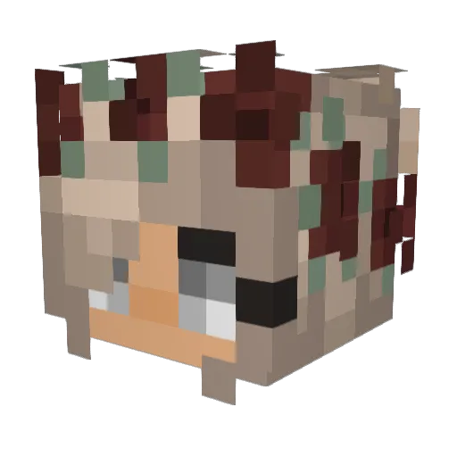 evaxel Minecraft avatar head, 3D render