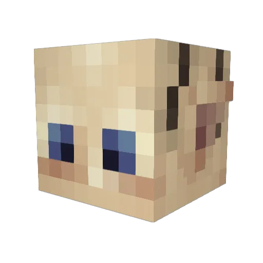 evbral Minecraft avatar head, 3D render