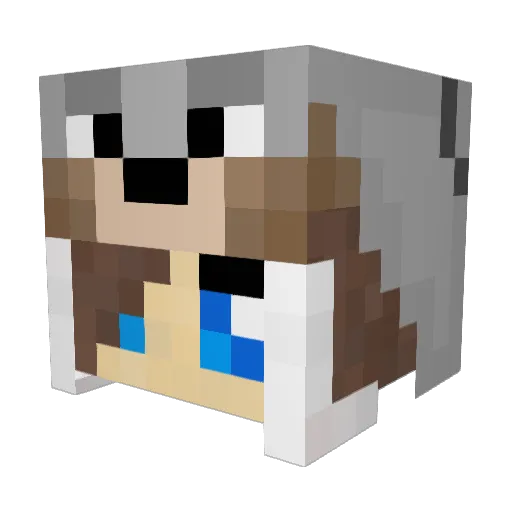 evcat Minecraft avatar head, 3D render