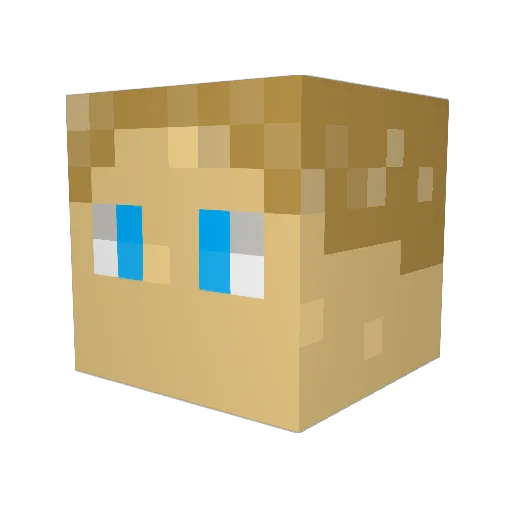 evdogg2010 Minecraft avatar head, 3D render