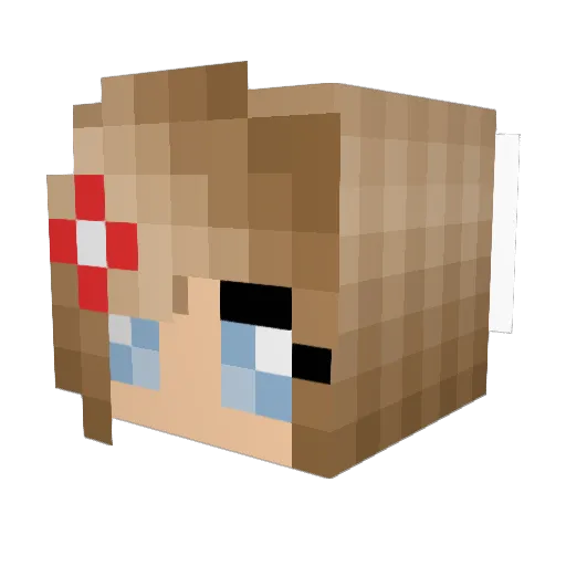 evei1245 Minecraft avatar head, 3D render