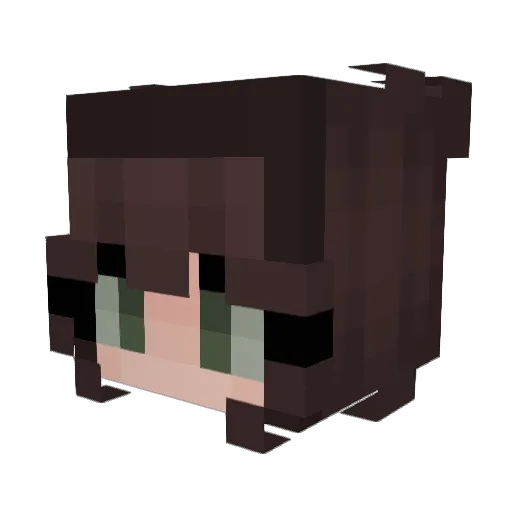 eveiscool123 Minecraft avatar head, 3D render