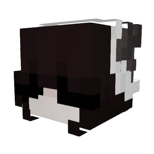 evelyn_910 Minecraft avatar head, 3D render