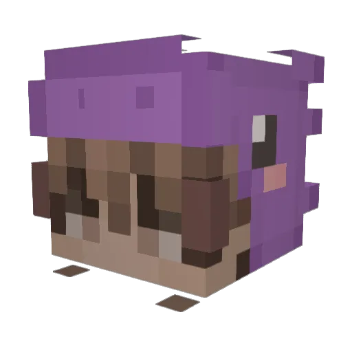 evencow123 Minecraft avatar head, 3D render
