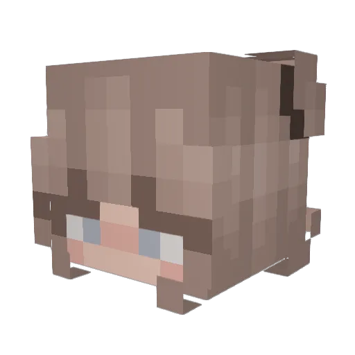 eveneen Minecraft avatar head, 3D render