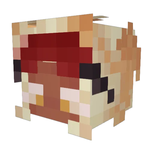 evenstarundomiel Minecraft avatar head, 3D render