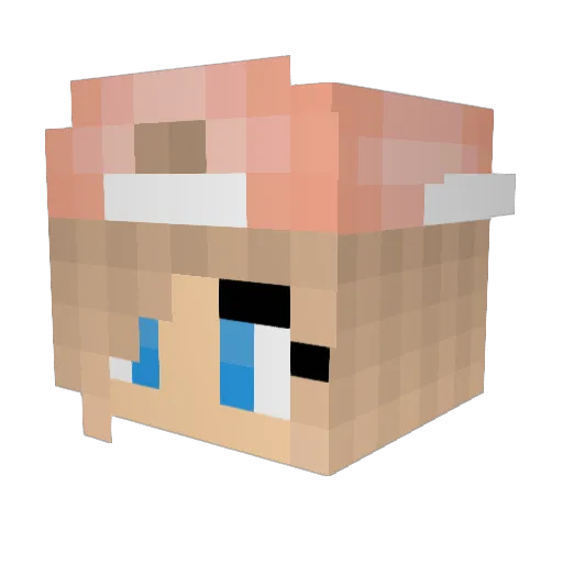 everlark2004 Minecraft avatar head, 3D render
