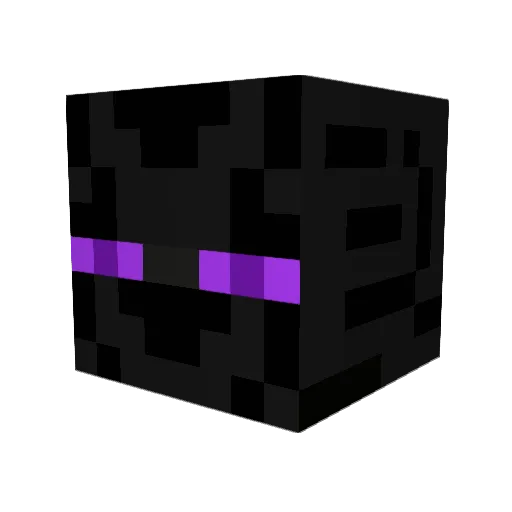 everlastin_miner Minecraft avatar head, 3D render
