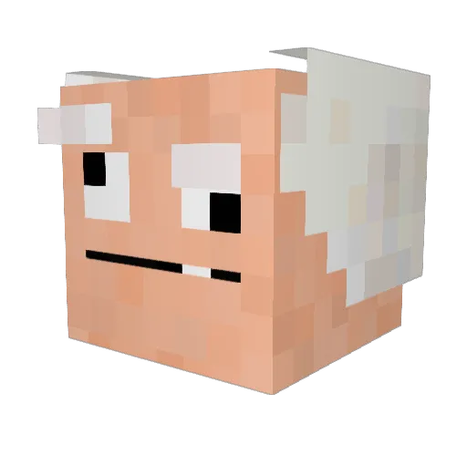 everlost_22 Minecraft avatar head, 3D render