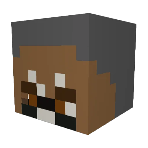 every1asksabtme Minecraft avatar head, 3D render