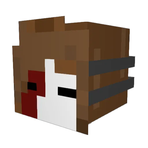 everyb0dylikesu Minecraft avatar head, 3D render