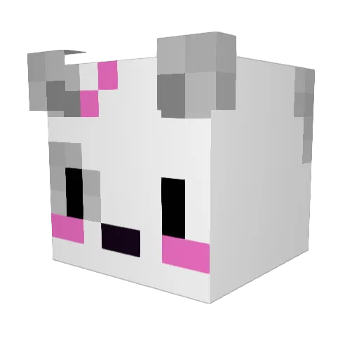 everyday101 Minecraft avatar head, 3D render