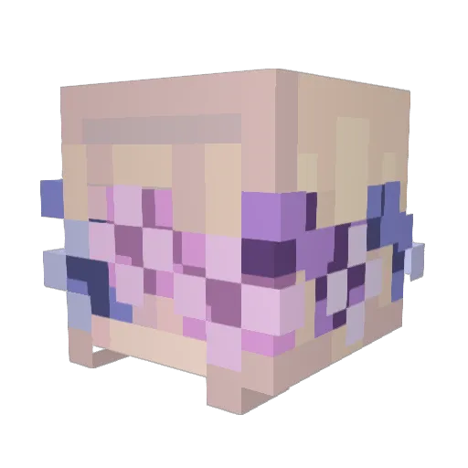 everydayisEr Minecraft avatar head, 3D render