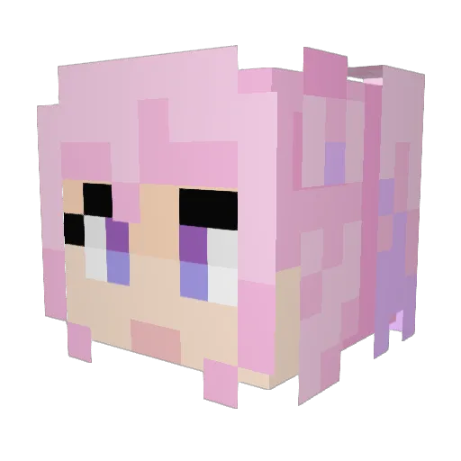 everydayisuffer Minecraft avatar head, 3D render