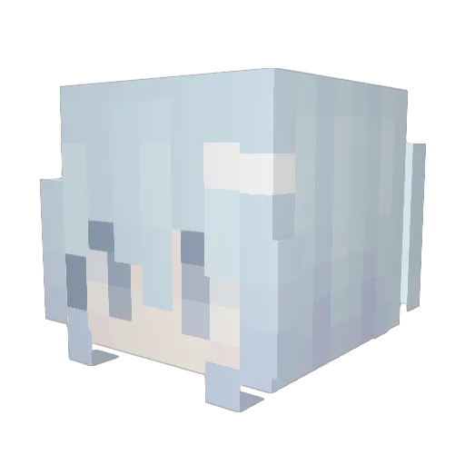 everything4notti Minecraft avatar head, 3D render