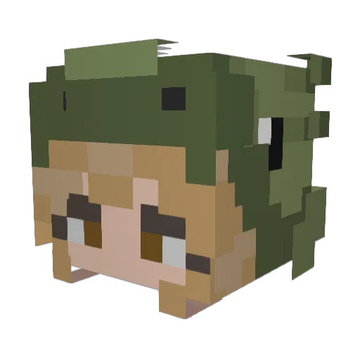 everythingbagle Minecraft avatar head, 3D render