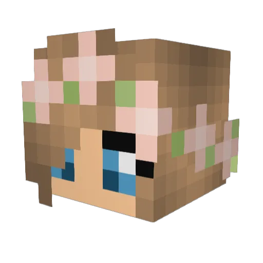 evga1233 Minecraft avatar head, 3D render