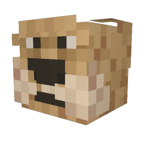 eviatar_mc Minecraft avatar head, 3D render