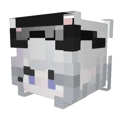 eviepeeve Minecraft avatar head, 3D render