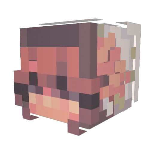 evieweeves Minecraft avatar head, 3D render