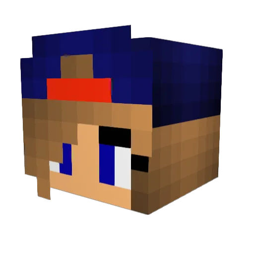 evii_ Minecraft avatar head, 3D render