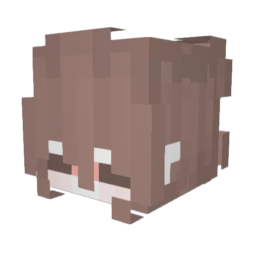 eviiiiiiiiiii Minecraft avatar head, 3D render