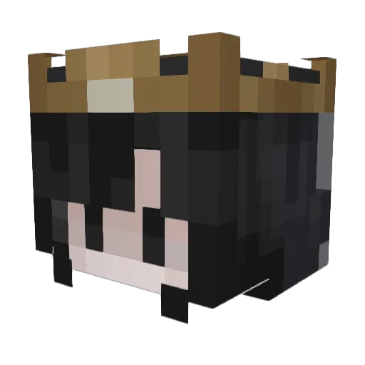 evija Minecraft avatar head, 3D render